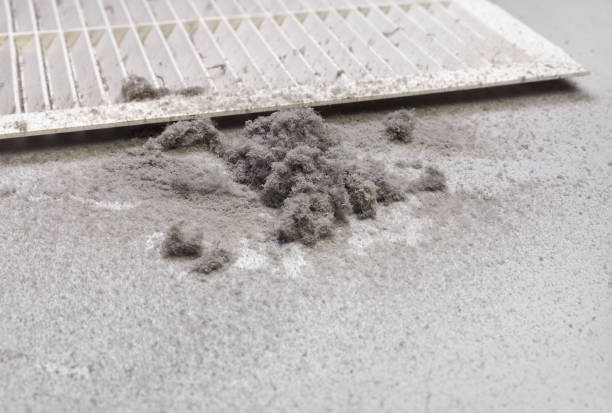 Best Professional Duct Cleaning Services  in Fort Dick, CA